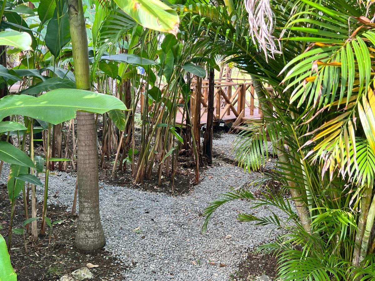 Jamaica Colors Hotel And Eco-Retreat Port Antonio Buitenkant foto