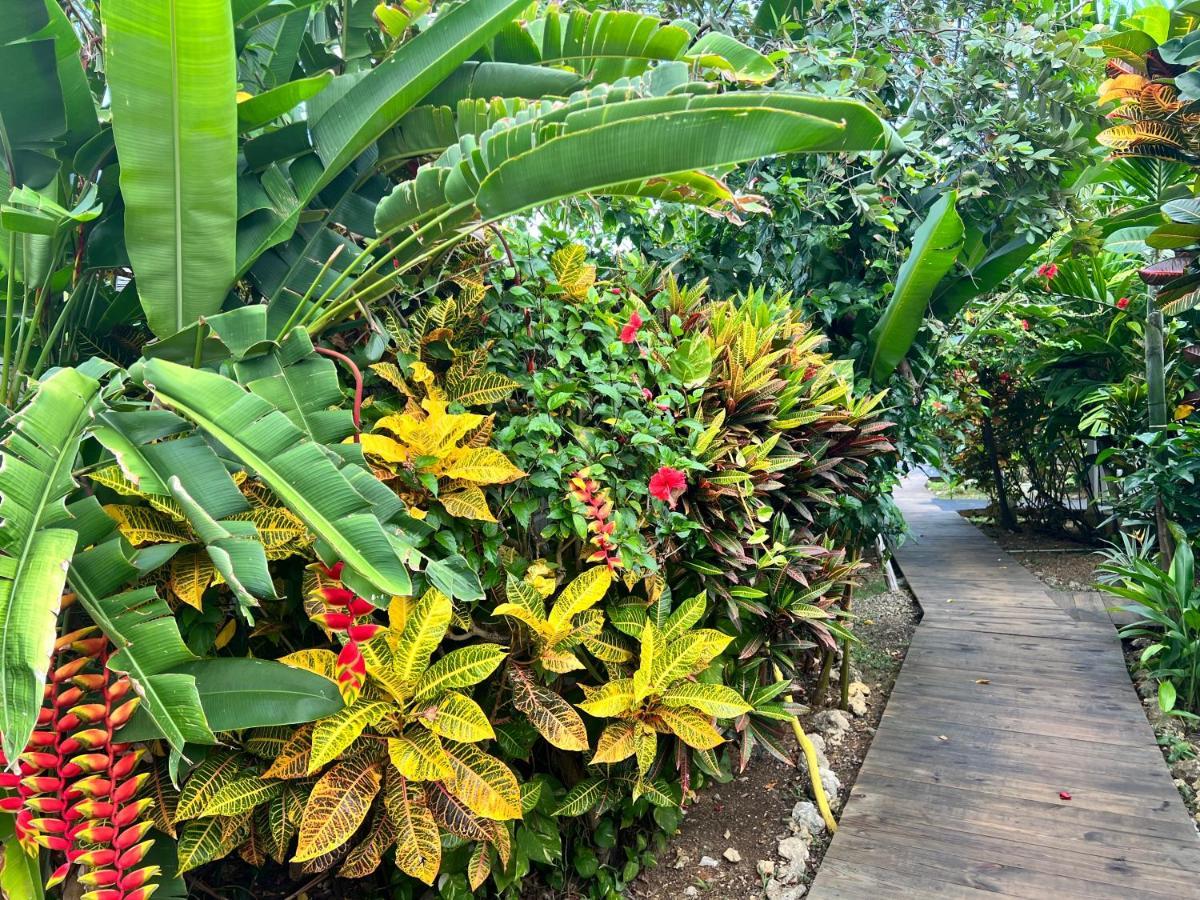 Jamaica Colors Hotel And Eco-Retreat Port Antonio Buitenkant foto