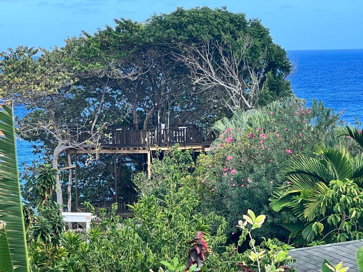 Jamaica Colors Hotel And Eco-Retreat Port Antonio Buitenkant foto