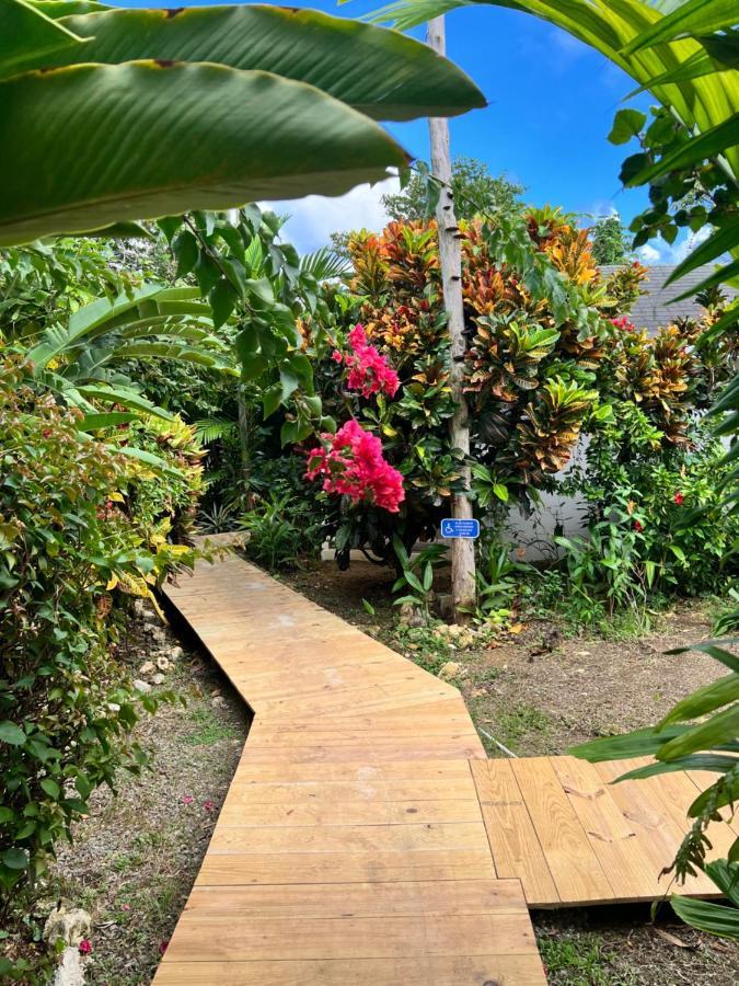 Jamaica Colors Hotel And Eco-Retreat Port Antonio Buitenkant foto