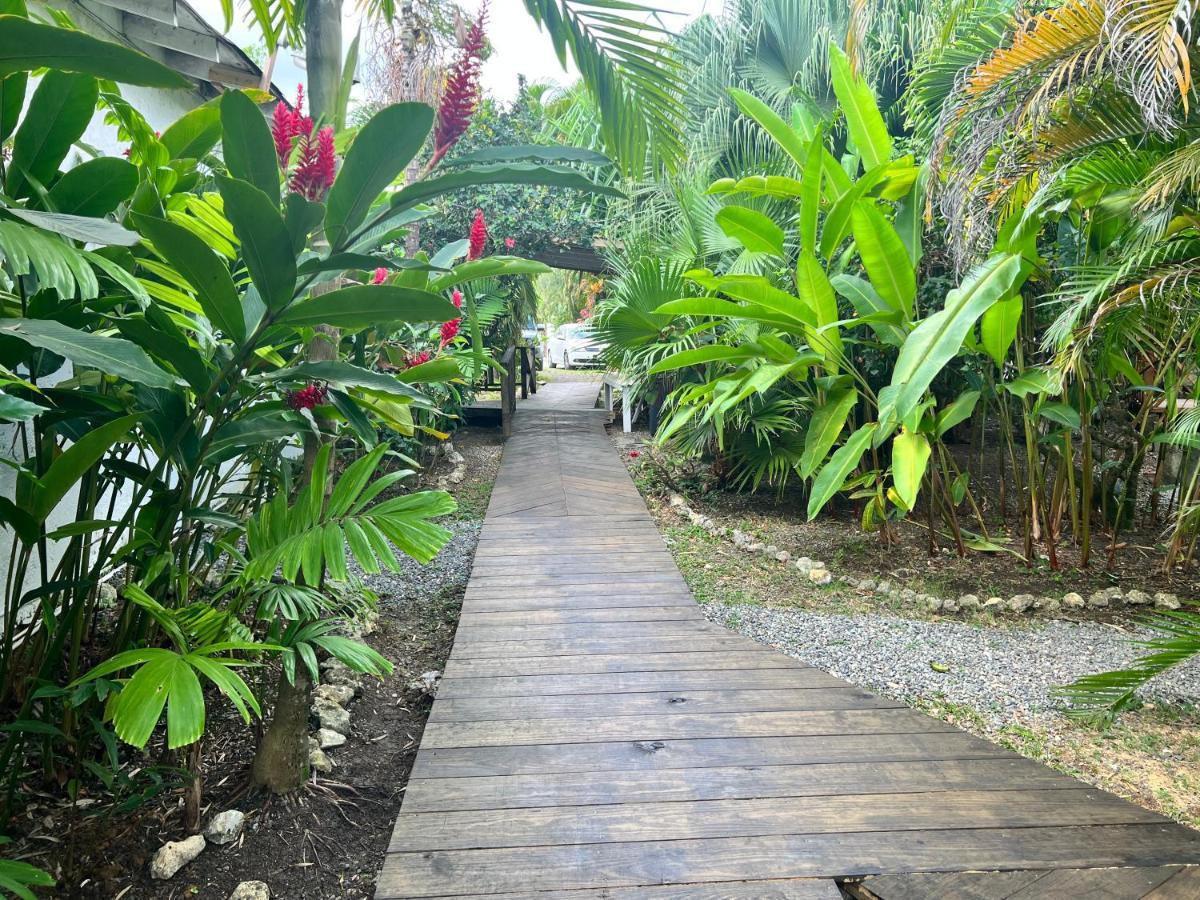 Jamaica Colors Hotel And Eco-Retreat Port Antonio Buitenkant foto