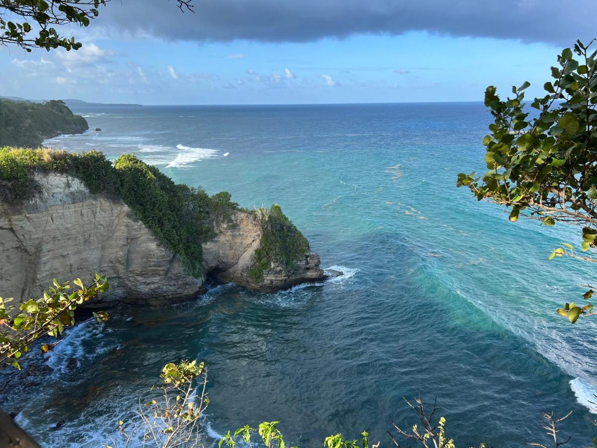 Jamaica Colors Hotel And Eco-Retreat Port Antonio Buitenkant foto