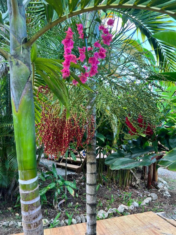 Jamaica Colors Hotel And Eco-Retreat Port Antonio Buitenkant foto