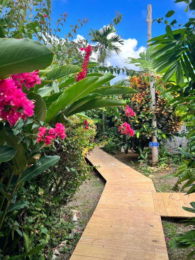 Jamaica Colors Hotel And Eco-Retreat Port Antonio Buitenkant foto